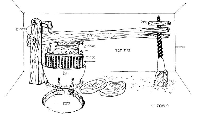 בית בד - הדף היומי בבא בתרא סז, תודה לפירוש חי, פורטל הדף היומי ואוצר החכמה