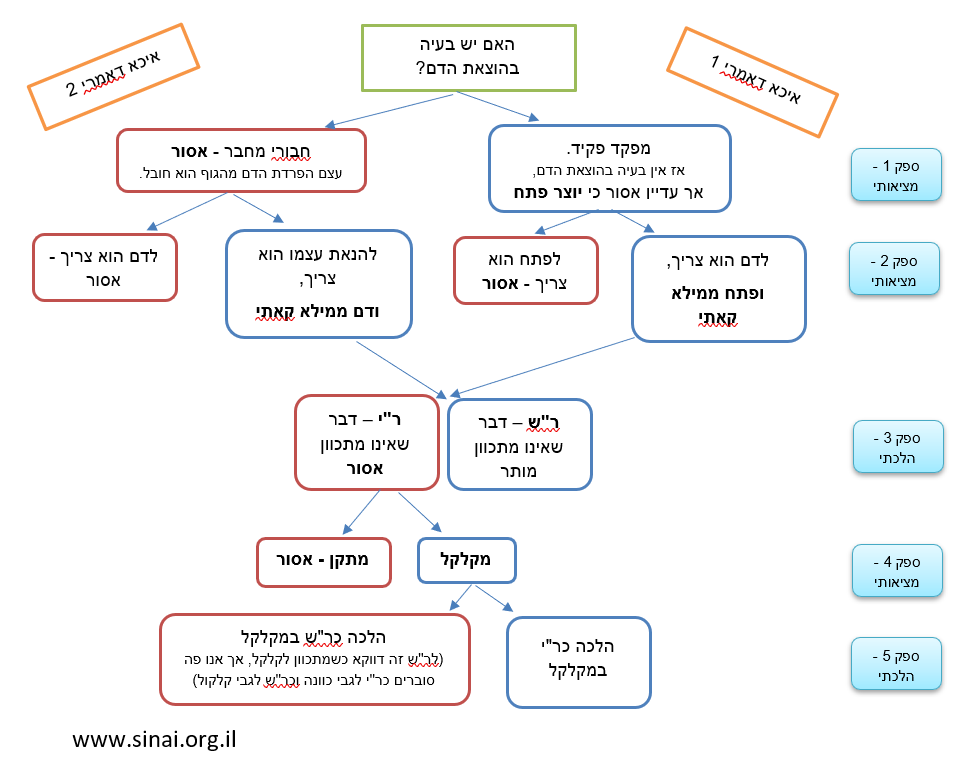 תרשים זריהמ - בעילה בשבת