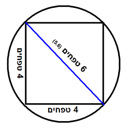 C:\Users\User\Dropbox\Daf Yomi\שבת\תמונות\כוורת_רוחב_ארבעה_טפחים_מסכת_שבת.png